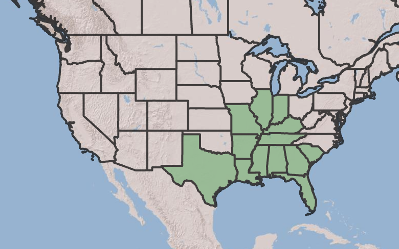 Asclepias Perrenis Map